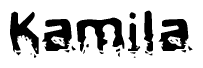 The image contains the word Kamila in a stylized font with a static looking effect at the bottom of the words