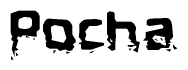The image contains the word Pocha in a stylized font with a static looking effect at the bottom of the words