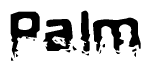 The image contains the word Palm in a stylized font with a static looking effect at the bottom of the words