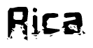 The image contains the word Rica in a stylized font with a static looking effect at the bottom of the words