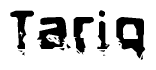 The image contains the word Tariq in a stylized font with a static looking effect at the bottom of the words