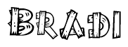 The image contains the name Bradi written in a decorative, stylized font with a hand-drawn appearance. The lines are made up of what appears to be planks of wood, which are nailed together
