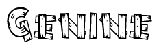 The clipart image shows the name Genine stylized to look like it is constructed out of separate wooden planks or boards, with each letter having wood grain and plank-like details.