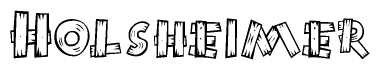 The image contains the name Holsheimer written in a decorative, stylized font with a hand-drawn appearance. The lines are made up of what appears to be planks of wood, which are nailed together