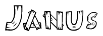The image contains the name Janus written in a decorative, stylized font with a hand-drawn appearance. The lines are made up of what appears to be planks of wood, which are nailed together