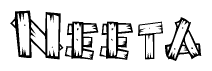 The image contains the name Neeta written in a decorative, stylized font with a hand-drawn appearance. The lines are made up of what appears to be planks of wood, which are nailed together