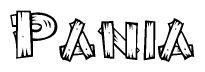 The image contains the name Pania written in a decorative, stylized font with a hand-drawn appearance. The lines are made up of what appears to be planks of wood, which are nailed together