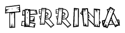 The image contains the name Terrina written in a decorative, stylized font with a hand-drawn appearance. The lines are made up of what appears to be planks of wood, which are nailed together