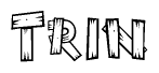 The image contains the name Trin written in a decorative, stylized font with a hand-drawn appearance. The lines are made up of what appears to be planks of wood, which are nailed together