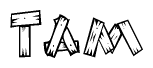 The image contains the name Tam written in a decorative, stylized font with a hand-drawn appearance. The lines are made up of what appears to be planks of wood, which are nailed together