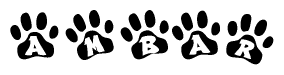 The image shows a series of animal paw prints arranged in a horizontal line. Each paw print contains a letter, and together they spell out the word Ambar.