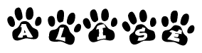 The image shows a series of animal paw prints arranged in a horizontal line. Each paw print contains a letter, and together they spell out the word Alise.