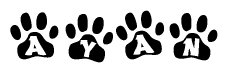 The image shows a row of animal paw prints, each containing a letter. The letters spell out the word Ayan within the paw prints.