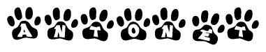 The image shows a row of animal paw prints, each containing a letter. The letters spell out the word Antonet within the paw prints.