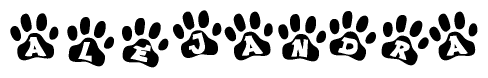 The image shows a series of animal paw prints arranged in a horizontal line. Each paw print contains a letter, and together they spell out the word Alejandra.