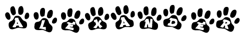 The image shows a series of animal paw prints arranged in a horizontal line. Each paw print contains a letter, and together they spell out the word Alexander.