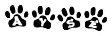 The image shows a series of animal paw prints arranged in a horizontal line. Each paw print contains a letter, and together they spell out the word Ayse.