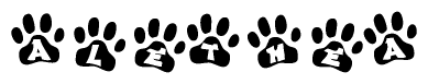 The image shows a series of animal paw prints arranged horizontally. Within each paw print, there's a letter; together they spell Alethea