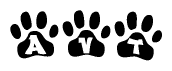 The image shows a series of animal paw prints arranged in a horizontal line. Each paw print contains a letter, and together they spell out the word Avt.