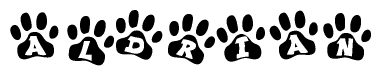 The image shows a series of animal paw prints arranged in a horizontal line. Each paw print contains a letter, and together they spell out the word Aldrian.