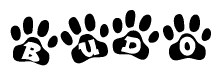 The image shows a series of animal paw prints arranged in a horizontal line. Each paw print contains a letter, and together they spell out the word Budo.