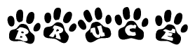 The image shows a series of animal paw prints arranged horizontally. Within each paw print, there's a letter; together they spell Bruce