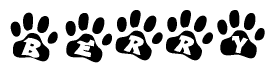 The image shows a series of animal paw prints arranged in a horizontal line. Each paw print contains a letter, and together they spell out the word Berry.