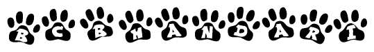 The image shows a row of animal paw prints, each containing a letter. The letters spell out the word Bcbhandari within the paw prints.