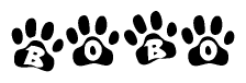 The image shows a series of animal paw prints arranged in a horizontal line. Each paw print contains a letter, and together they spell out the word Bobo.