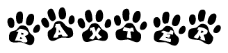 The image shows a row of animal paw prints, each containing a letter. The letters spell out the word Baxter within the paw prints.