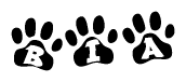 The image shows a series of animal paw prints arranged in a horizontal line. Each paw print contains a letter, and together they spell out the word Bia.