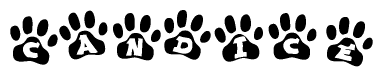 The image shows a series of animal paw prints arranged in a horizontal line. Each paw print contains a letter, and together they spell out the word Candice.