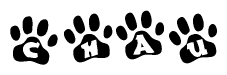 The image shows a series of animal paw prints arranged in a horizontal line. Each paw print contains a letter, and together they spell out the word Chau.