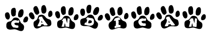 The image shows a series of animal paw prints arranged in a horizontal line. Each paw print contains a letter, and together they spell out the word Candican.