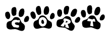 The image shows a series of animal paw prints arranged in a horizontal line. Each paw print contains a letter, and together they spell out the word Cort.