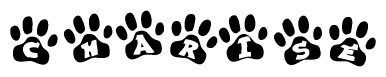 The image shows a series of animal paw prints arranged horizontally. Within each paw print, there's a letter; together they spell Charise