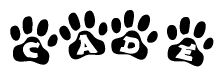 The image shows a series of animal paw prints arranged in a horizontal line. Each paw print contains a letter, and together they spell out the word Cade.