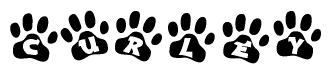 The image shows a row of animal paw prints, each containing a letter. The letters spell out the word Curley within the paw prints.