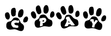 The image shows a row of animal paw prints, each containing a letter. The letters spell out the word Cpay within the paw prints.