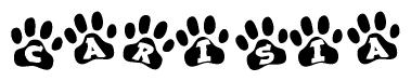 The image shows a row of animal paw prints, each containing a letter. The letters spell out the word Carisia within the paw prints.