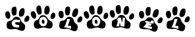 The image shows a row of animal paw prints, each containing a letter. The letters spell out the word Colonel within the paw prints.