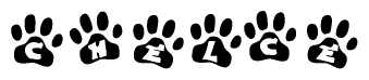 The image shows a row of animal paw prints, each containing a letter. The letters spell out the word Chelce within the paw prints.