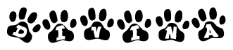 The image shows a series of animal paw prints arranged in a horizontal line. Each paw print contains a letter, and together they spell out the word Divina.