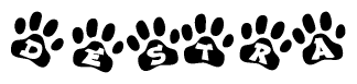 The image shows a series of animal paw prints arranged in a horizontal line. Each paw print contains a letter, and together they spell out the word Destra.