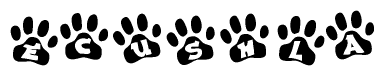 The image shows a series of animal paw prints arranged in a horizontal line. Each paw print contains a letter, and together they spell out the word Ecushla.