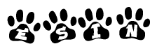 The image shows a series of animal paw prints arranged horizontally. Within each paw print, there's a letter; together they spell Esin