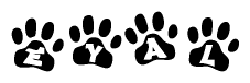 The image shows a row of animal paw prints, each containing a letter. The letters spell out the word Eyal within the paw prints.