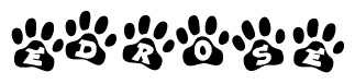 The image shows a series of animal paw prints arranged horizontally. Within each paw print, there's a letter; together they spell Edrose