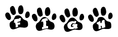 The image shows a row of animal paw prints, each containing a letter. The letters spell out the word Figh within the paw prints.