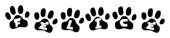 The image shows a series of animal paw prints arranged horizontally. Within each paw print, there's a letter; together they spell Felice